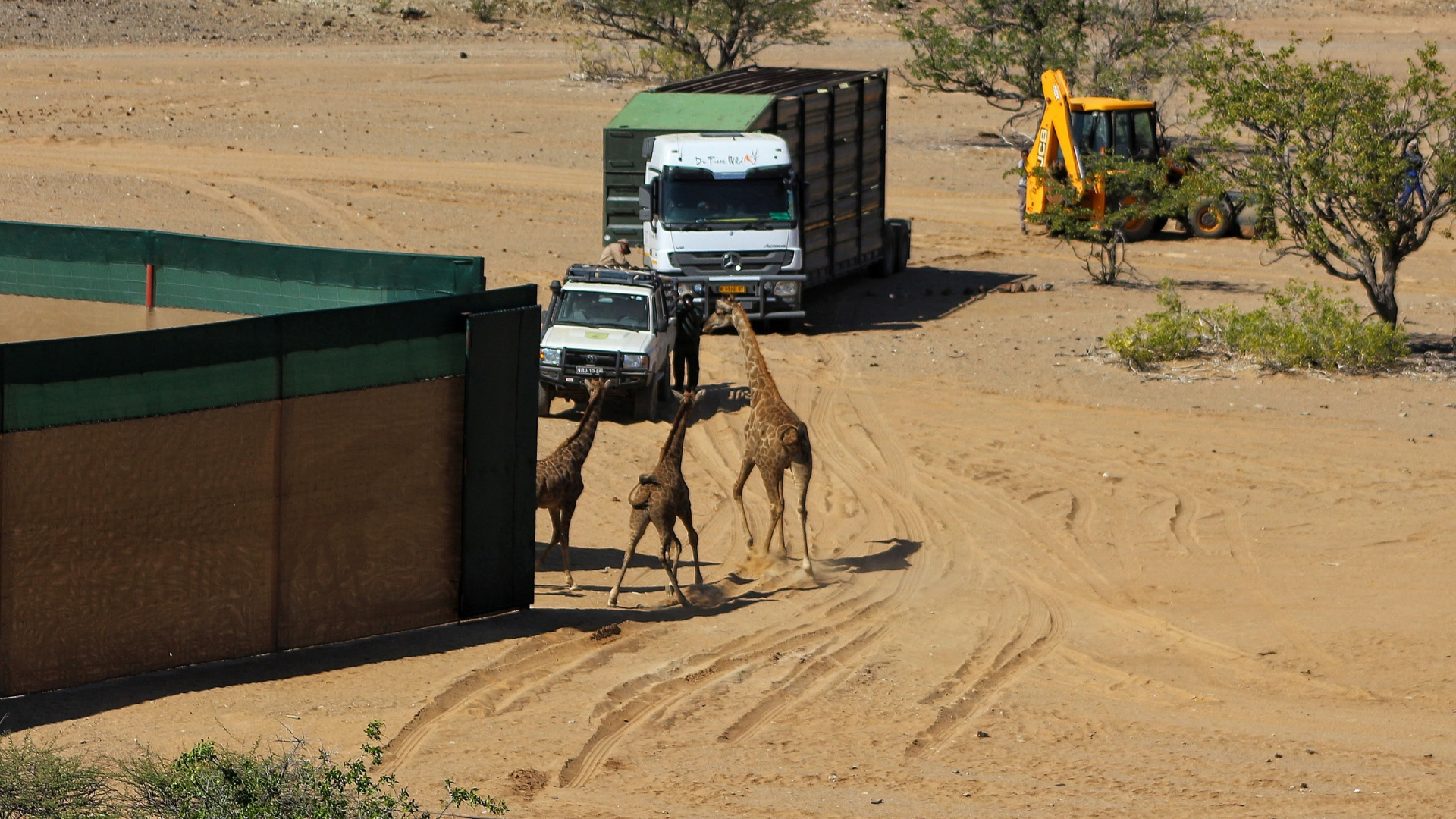 Apertura del recinto