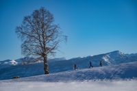 Se in montagna non si può sciare, andiamo a ciaspolare. I luoghi magnifici dove farlo