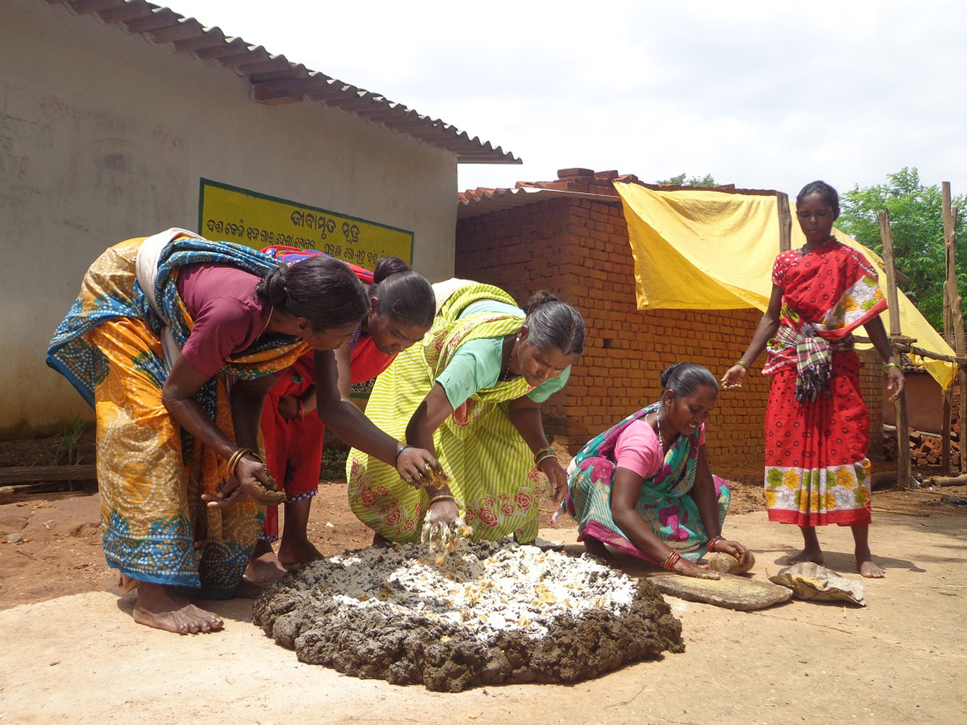 Organic farming change lives of tribal communities in India