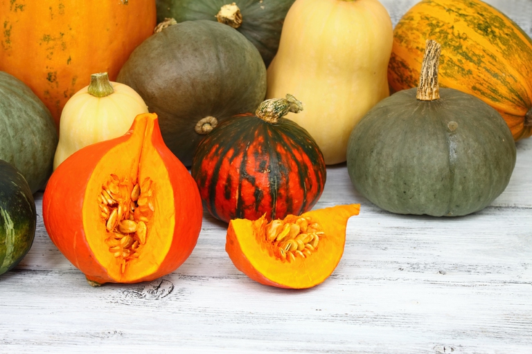 Zucche di diverse varietà © svehlik/iStock