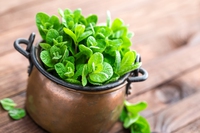 Tree, l’antico potere delle erbe officinali per una casa naturalmente pulita