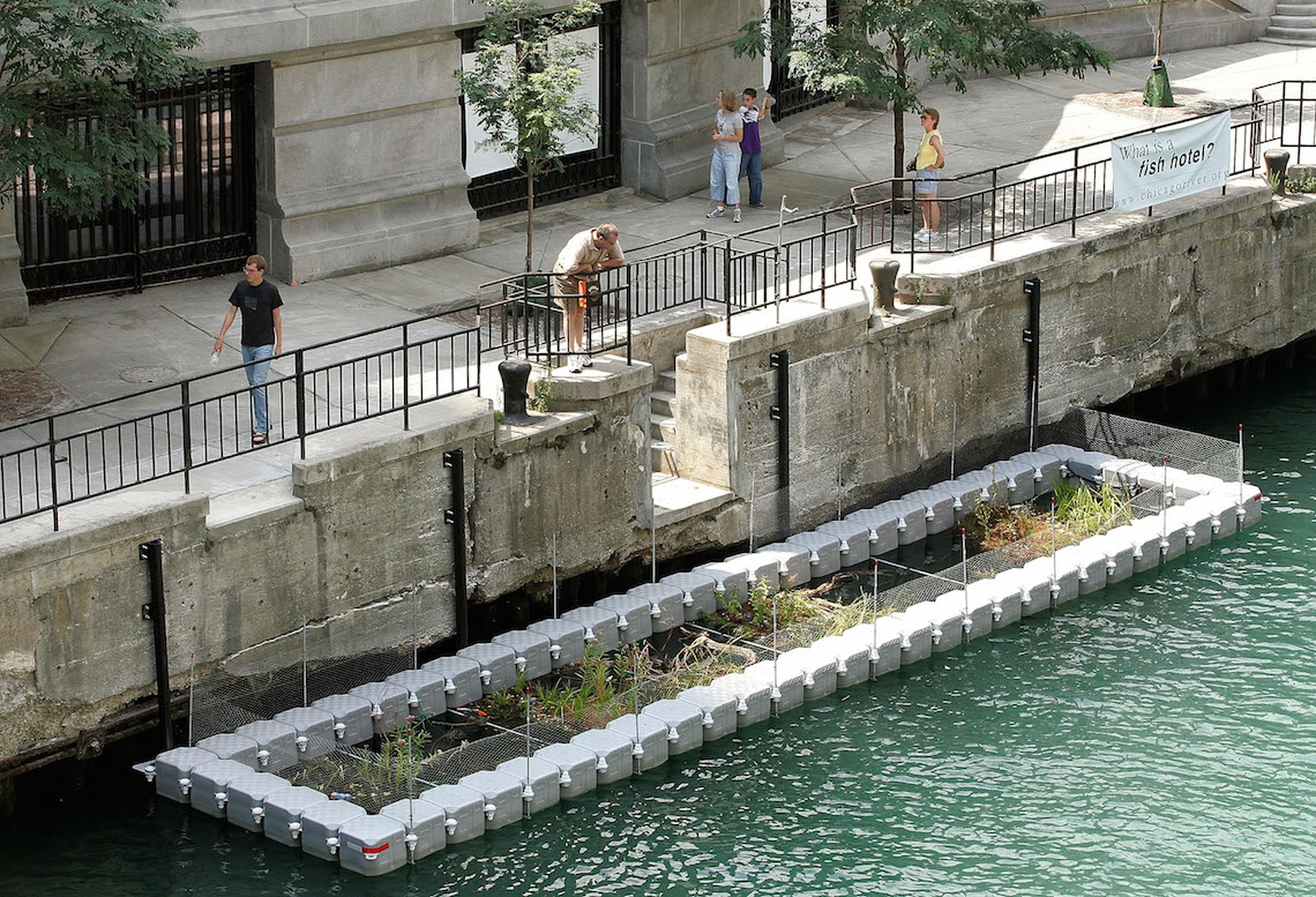 Fish Hotel a Chicago