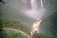 Le quattro ecologie