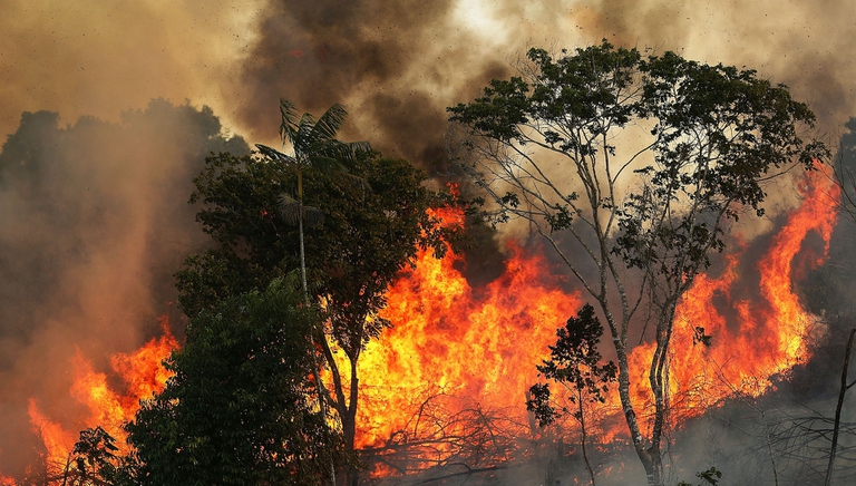 Brasile, record di incendi a maggio nella foresta amazzonica