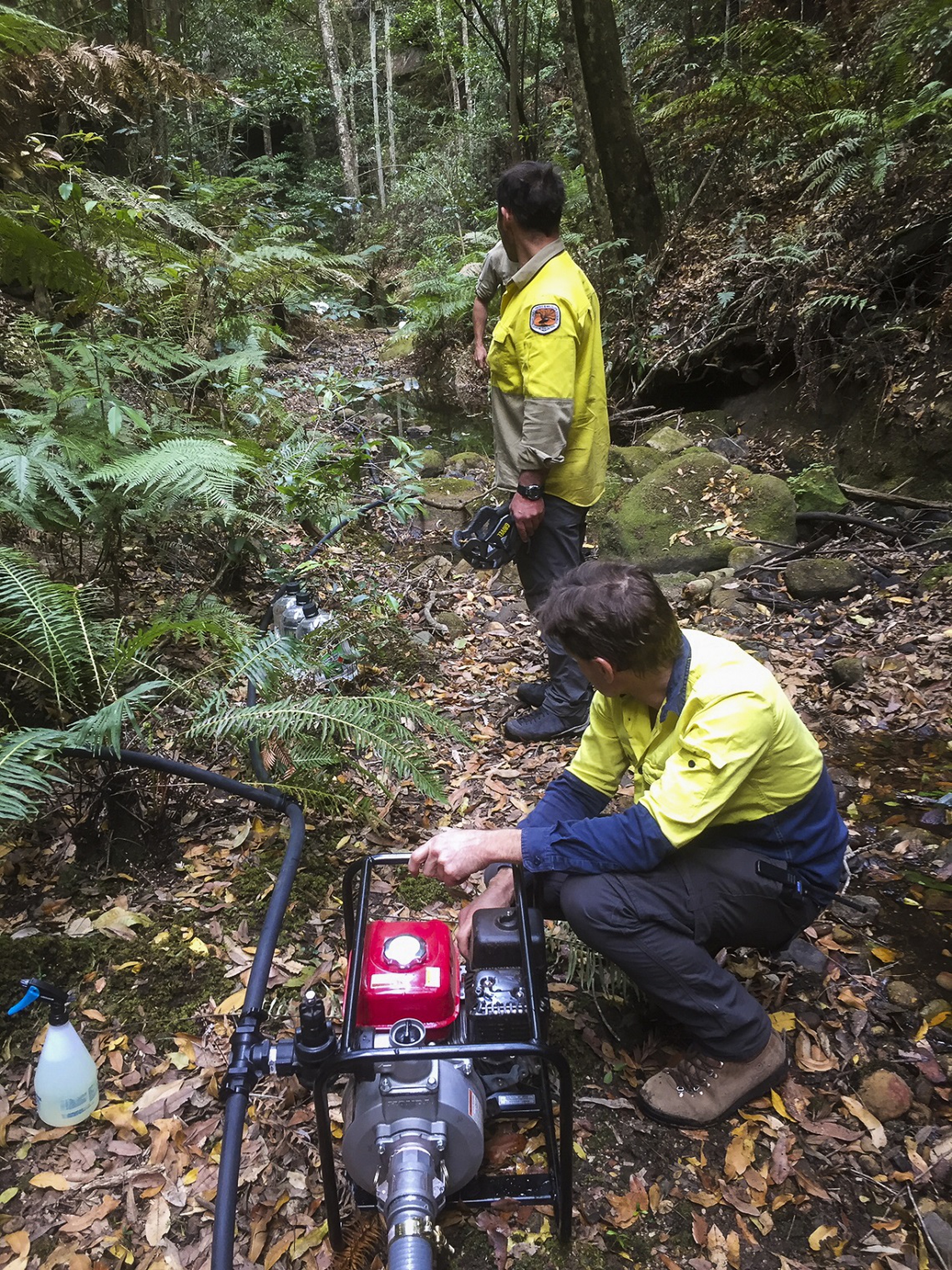 Pompieri che installano impianto di irrigazione