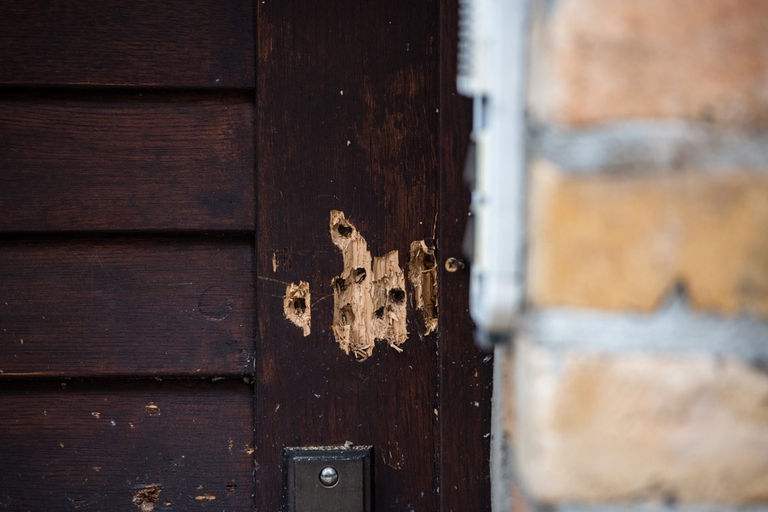 polizia attentato sinagoga Stephan Balliet kebab cimitero halle germania kebab