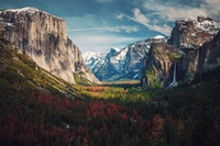 10 of the world’s largest forests emit more CO2 than oxygen