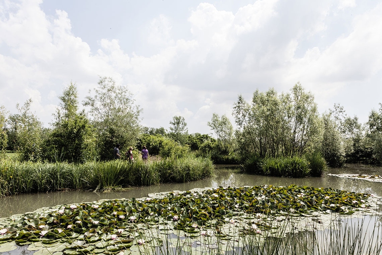 Milano la verde di Giuseppe Marinoni