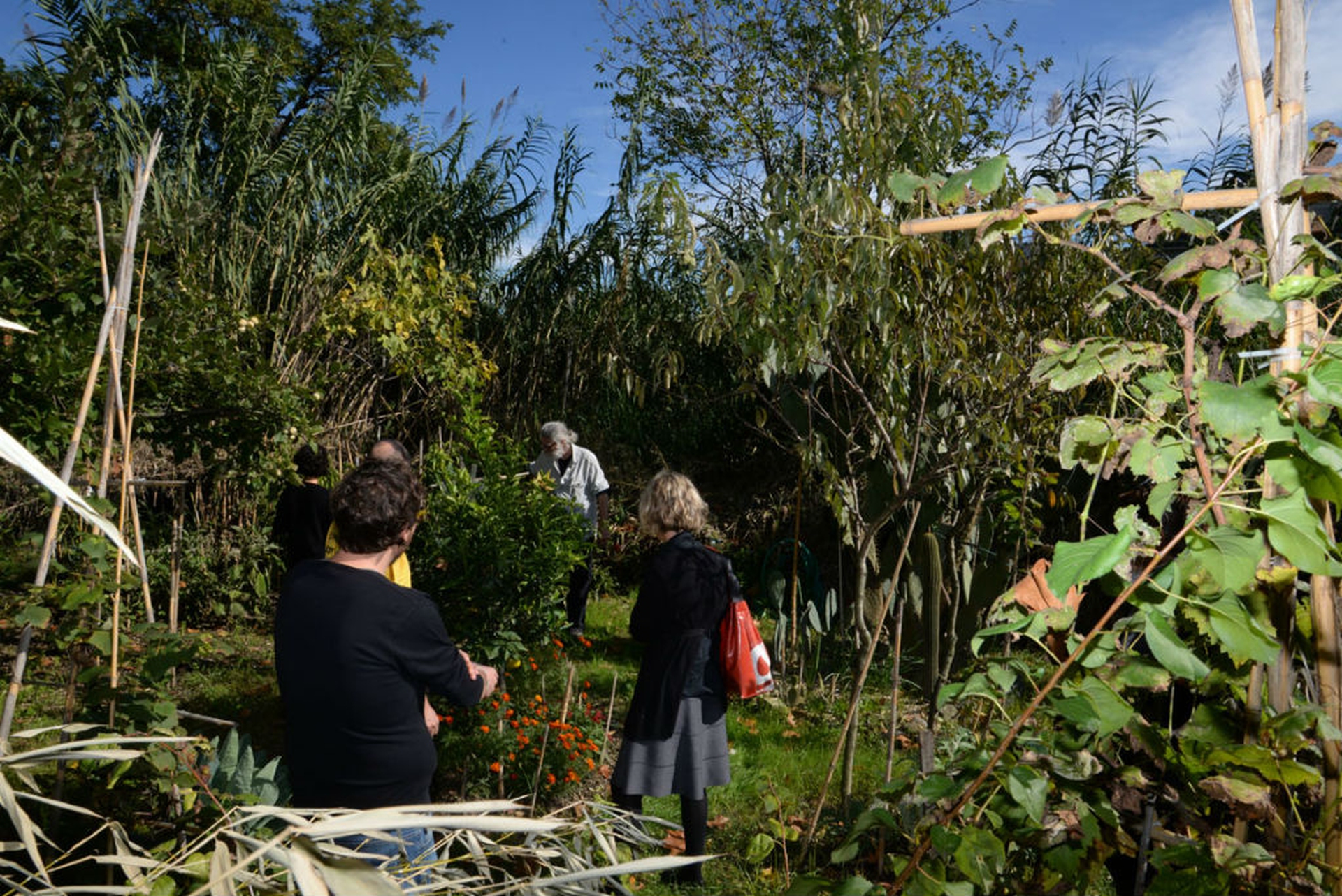 La nuova vita del parco Capoprati
