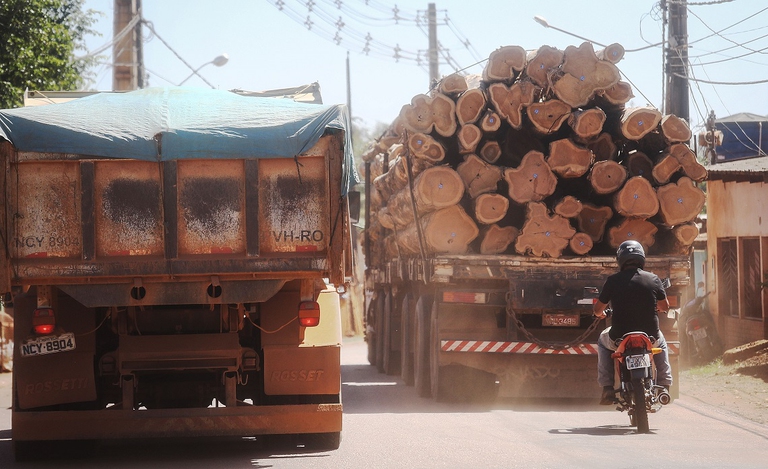 Camion che trasporta legname prelevato dalla foresta amazzonica