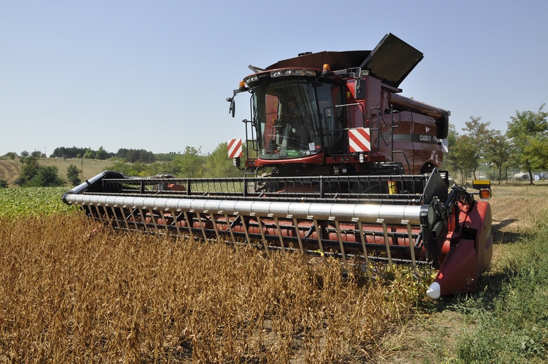 Coltivazione intensiva