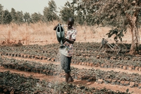 48 milioni di persone a rischio malnutrizione in Africa centrale e occidentale