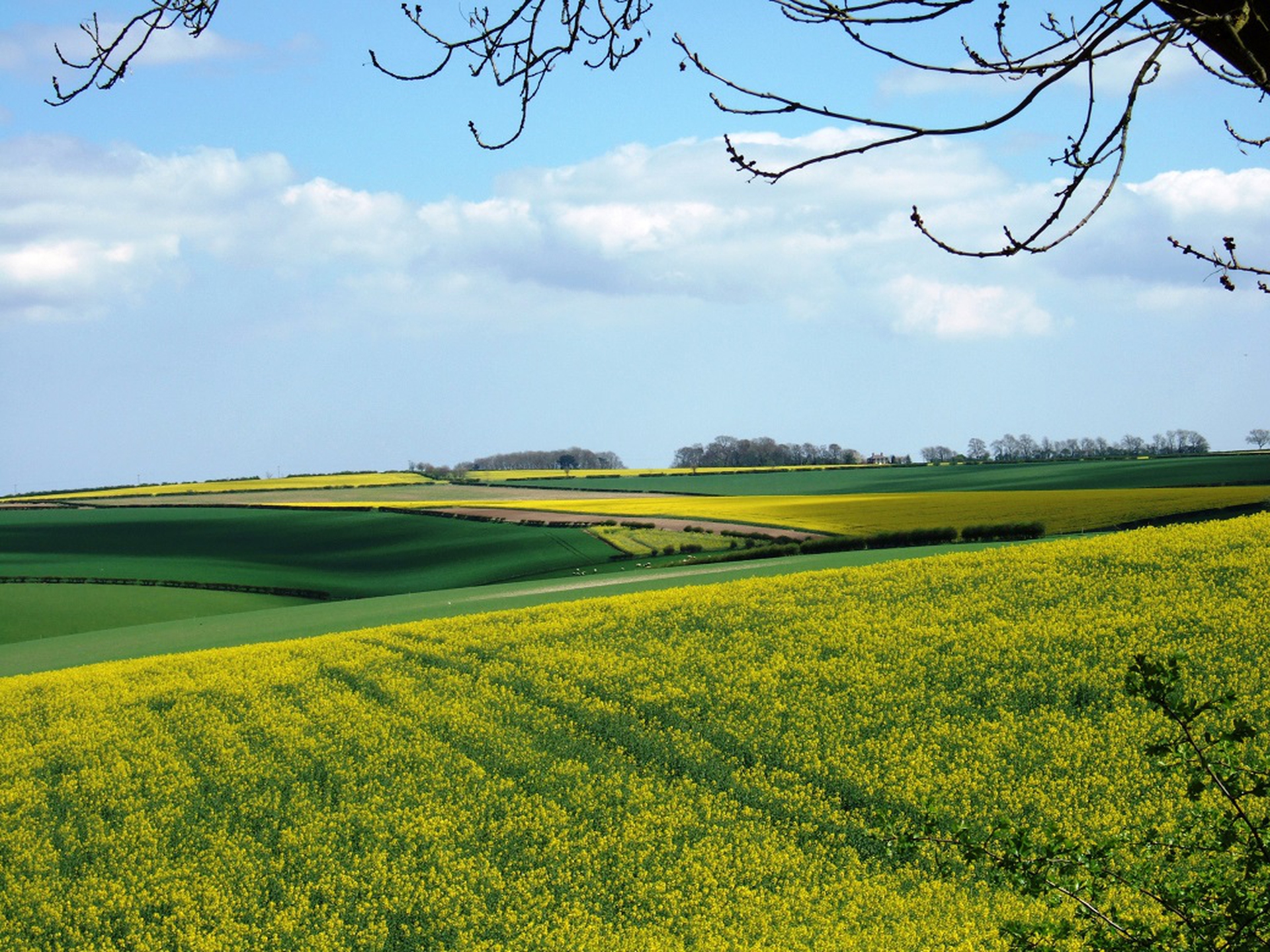 Le campagne multicolore del Lincolnshire