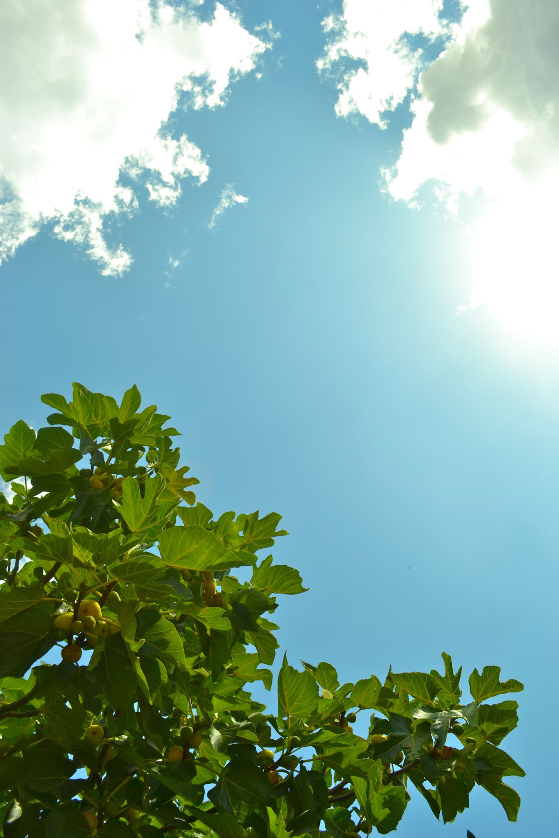 Chinatown Gate, London