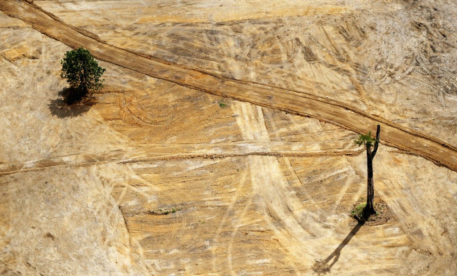 Brazil's Controversial Belo Monte Dam Project To Displace Thousands in Amazon