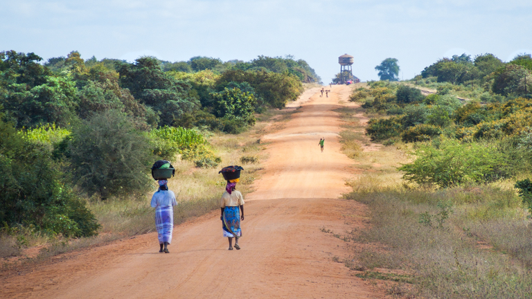 Biodiversity in Mozambique