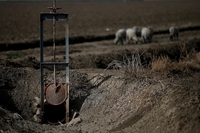 La California ordina di ridurre le irrigazioni a causa della siccità