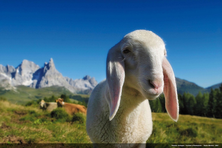 Trentino a occhi chiusi