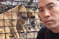 Activist frees 1,000 dogs from the dog meat festival in Yulin