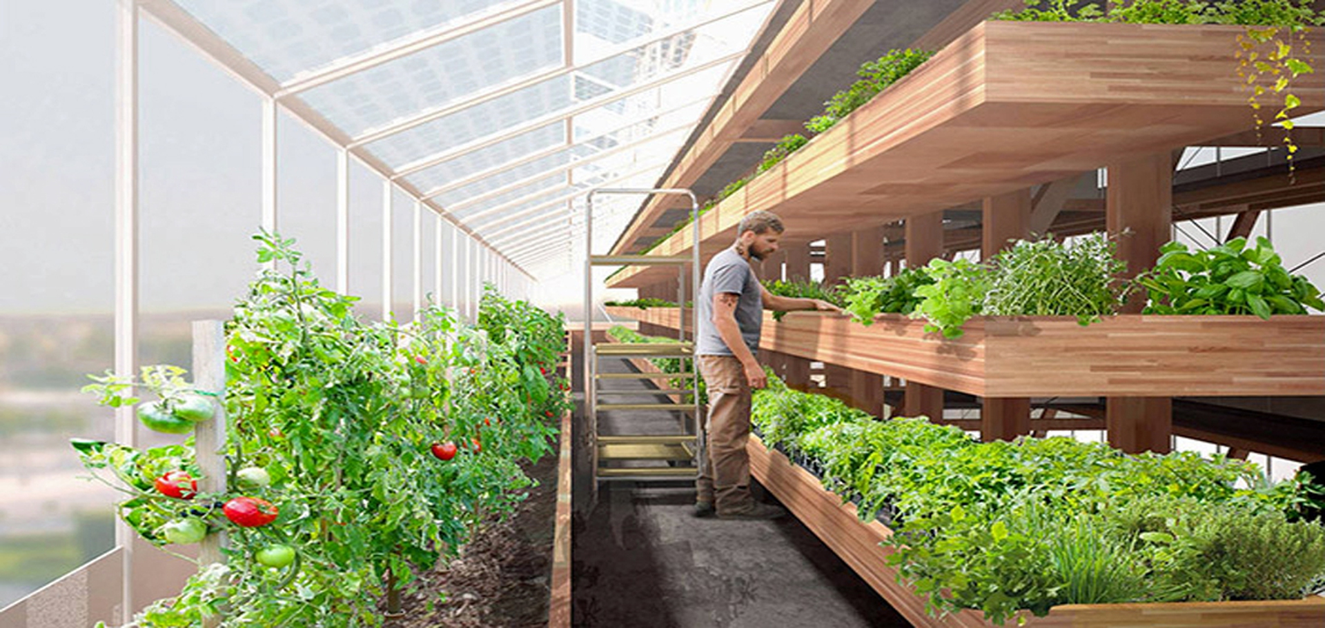 1fotoAgro-main-ville-5_2