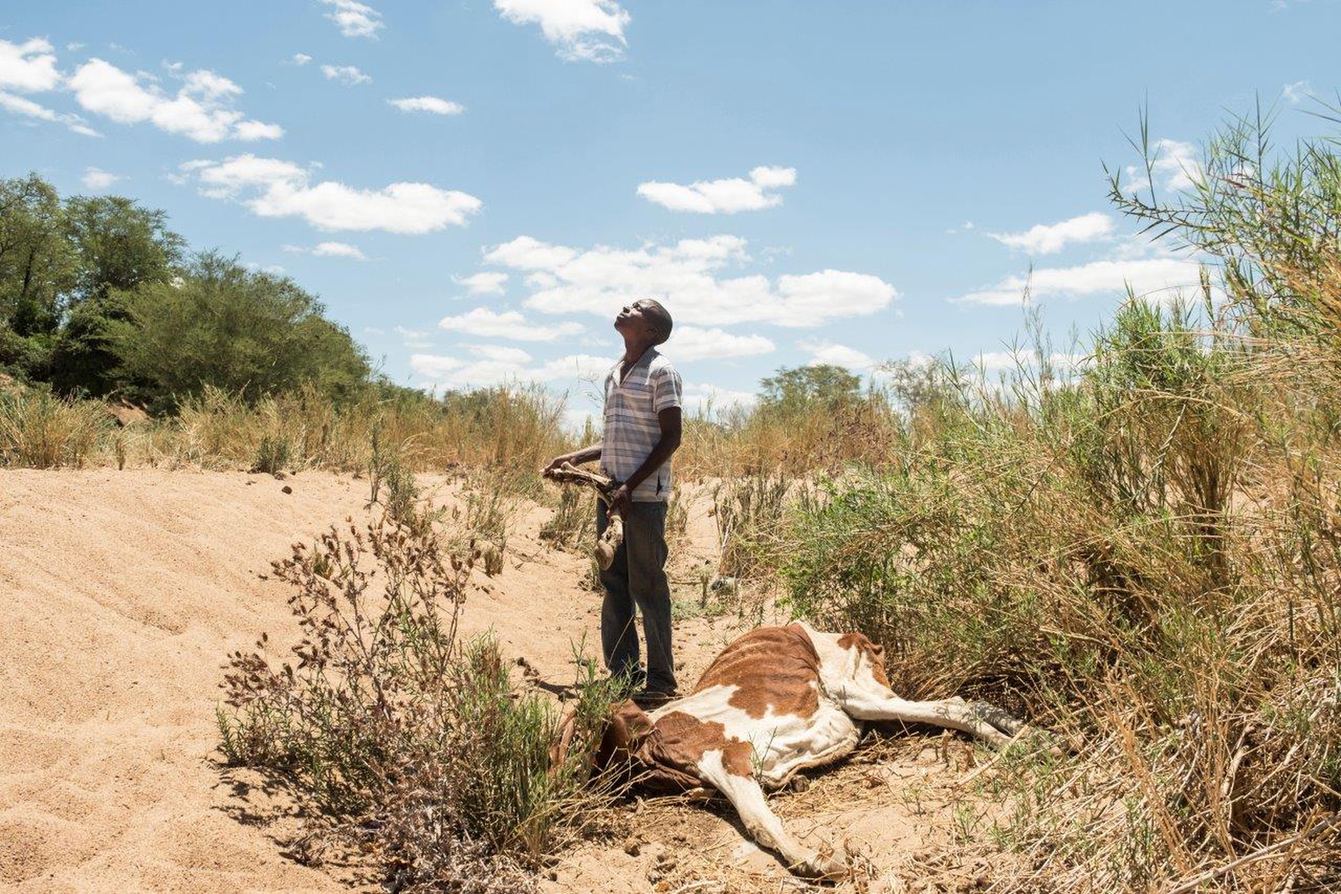 Drought in the rain season, a climate change issue – Stefano Stranges