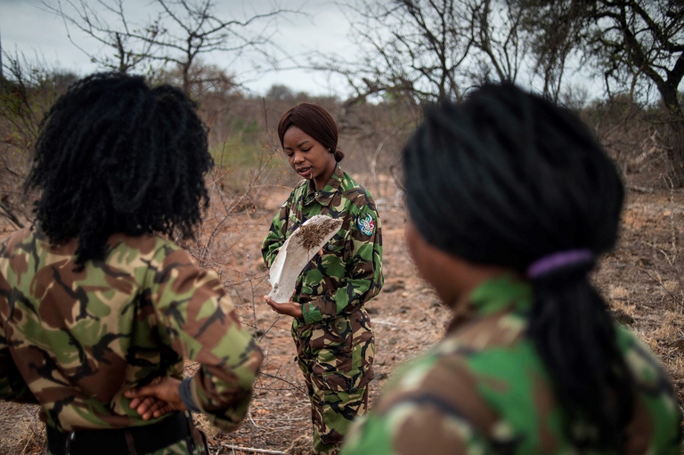 Squadra anti bracconaggio delle Black Mambas in azione