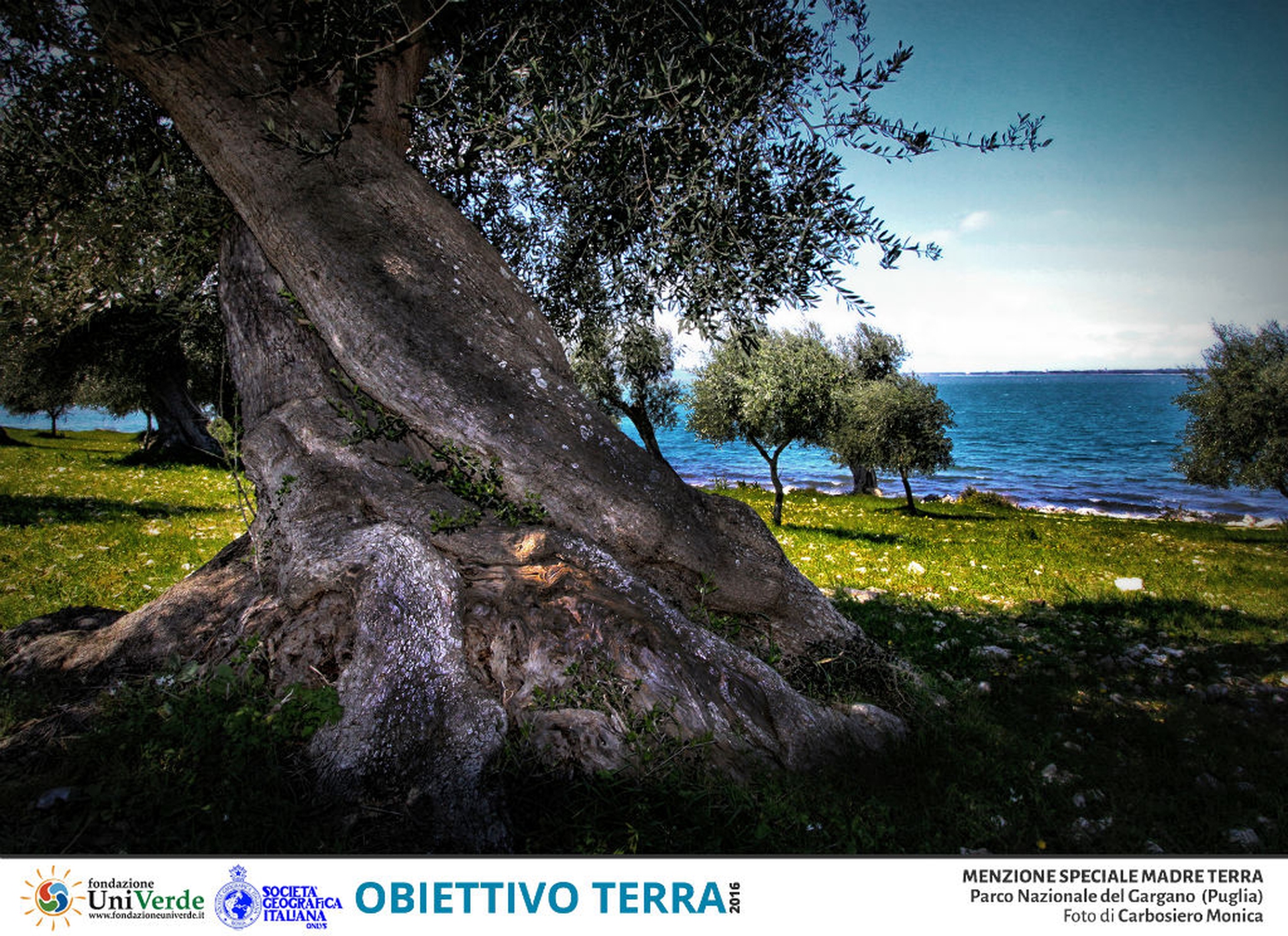 Obiettivo Terra 2016