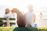Vacanza a quattro zampe: cosa non dimenticare per curarli naturalmente