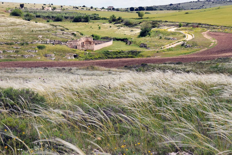 Cammino Materano, cammini, turismo, Matera