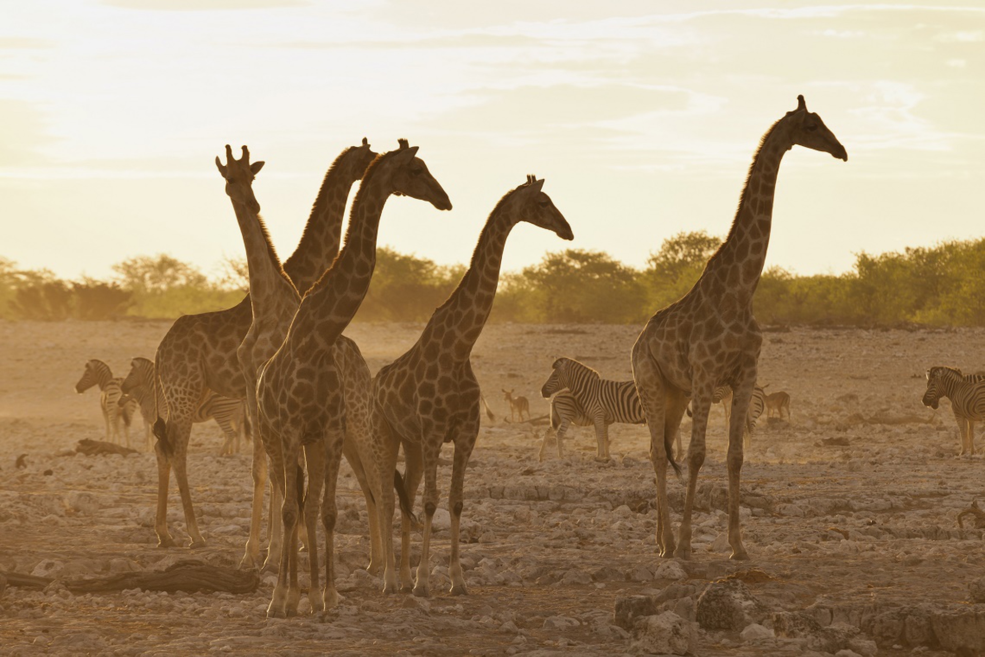 The effects of climate change - draught