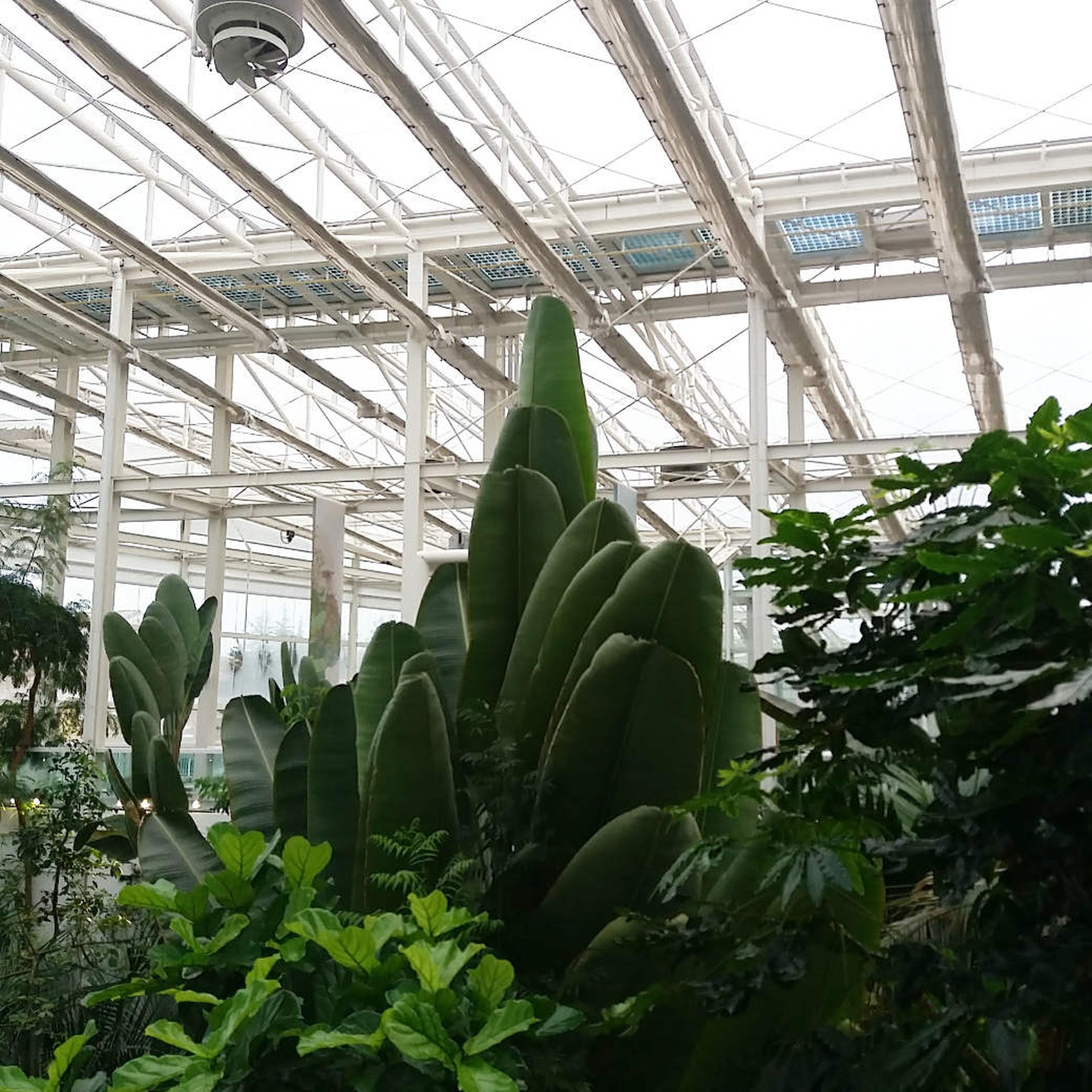 Giardino della Biodiversità