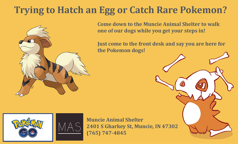 Posto Facebook del Muncie Animal Shelter