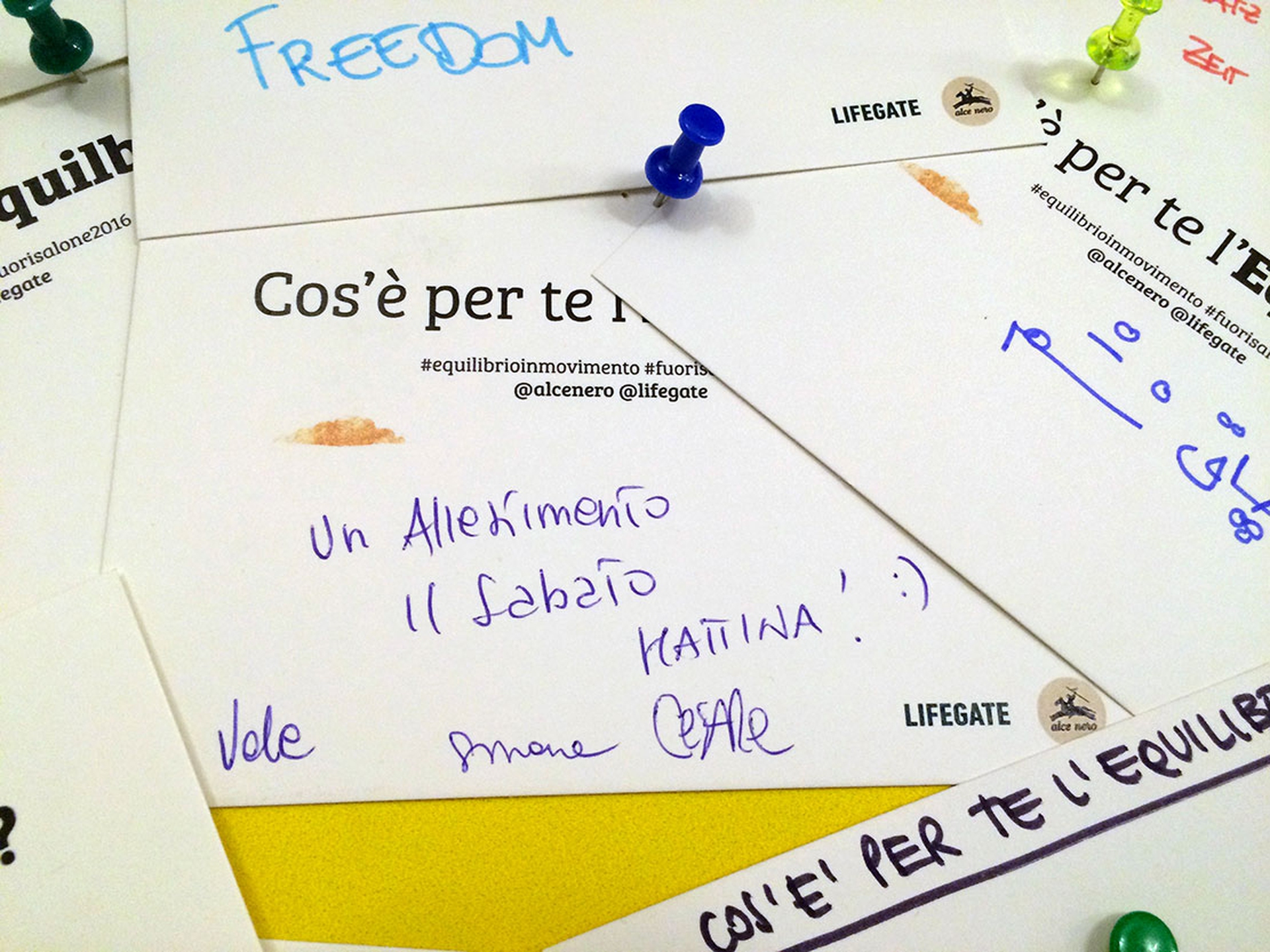 equilibrio_allestimento