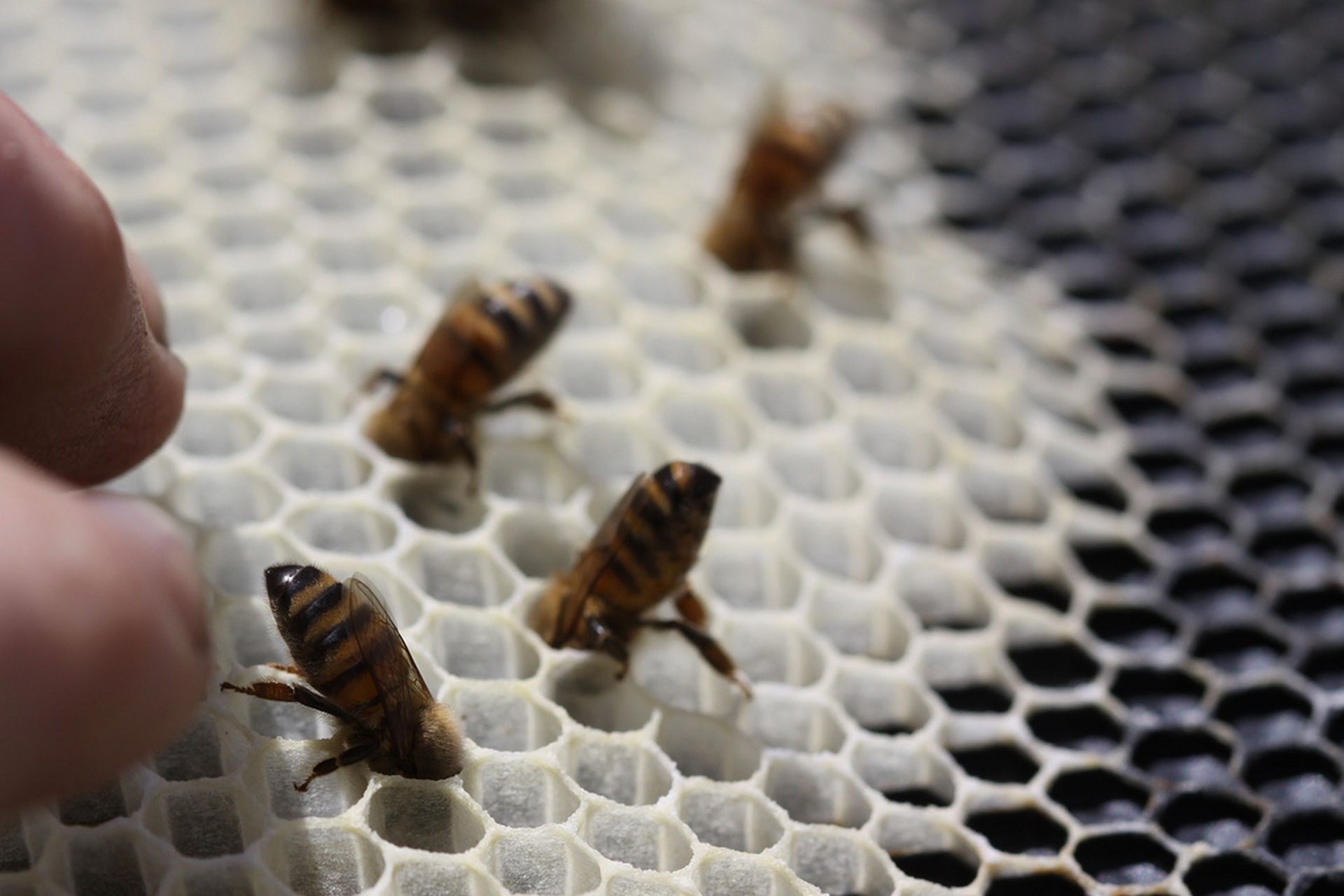 5058885805_3a2e72c0a0_b