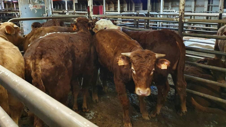 Una foto scattata a bordo della Karim Allah