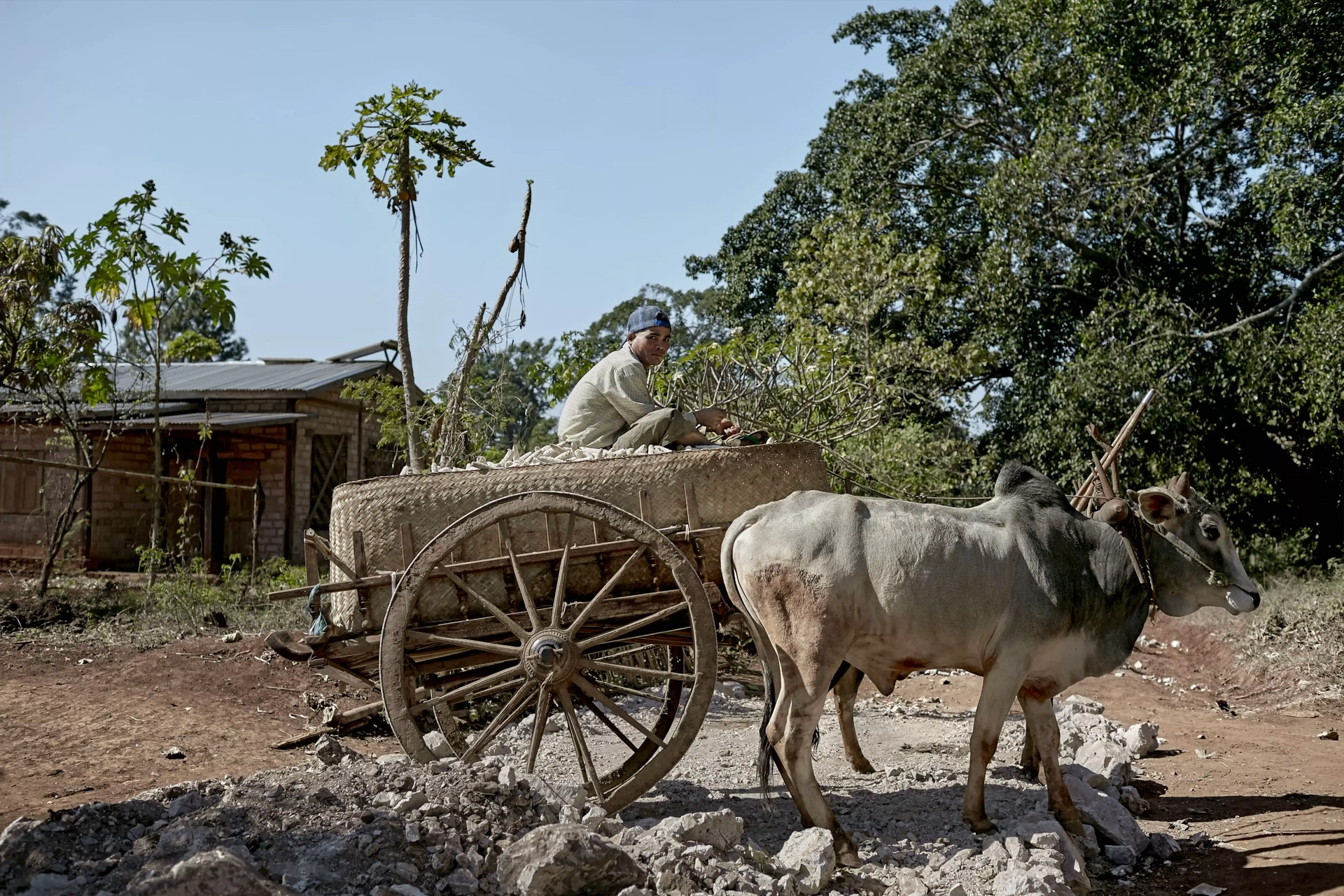 Myanmar mostra Cesvi