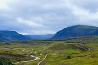 Un’impresa di rewilding per far rinascere le Highlands scozzesi