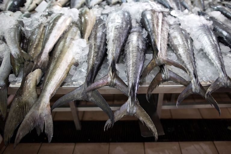 cose-da-fare-entro-il-2050-3