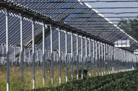 Agrivoltaico per ridurre la competizione tra cibo ed energia, lo studio