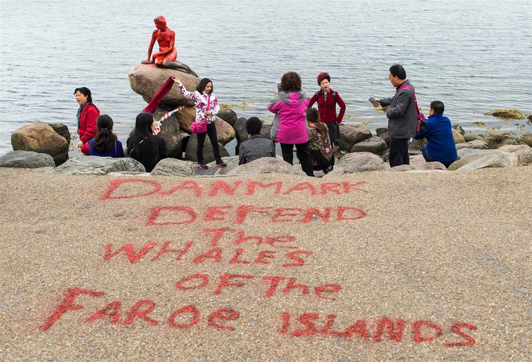 Protesta contro la caccia alle balene pilota