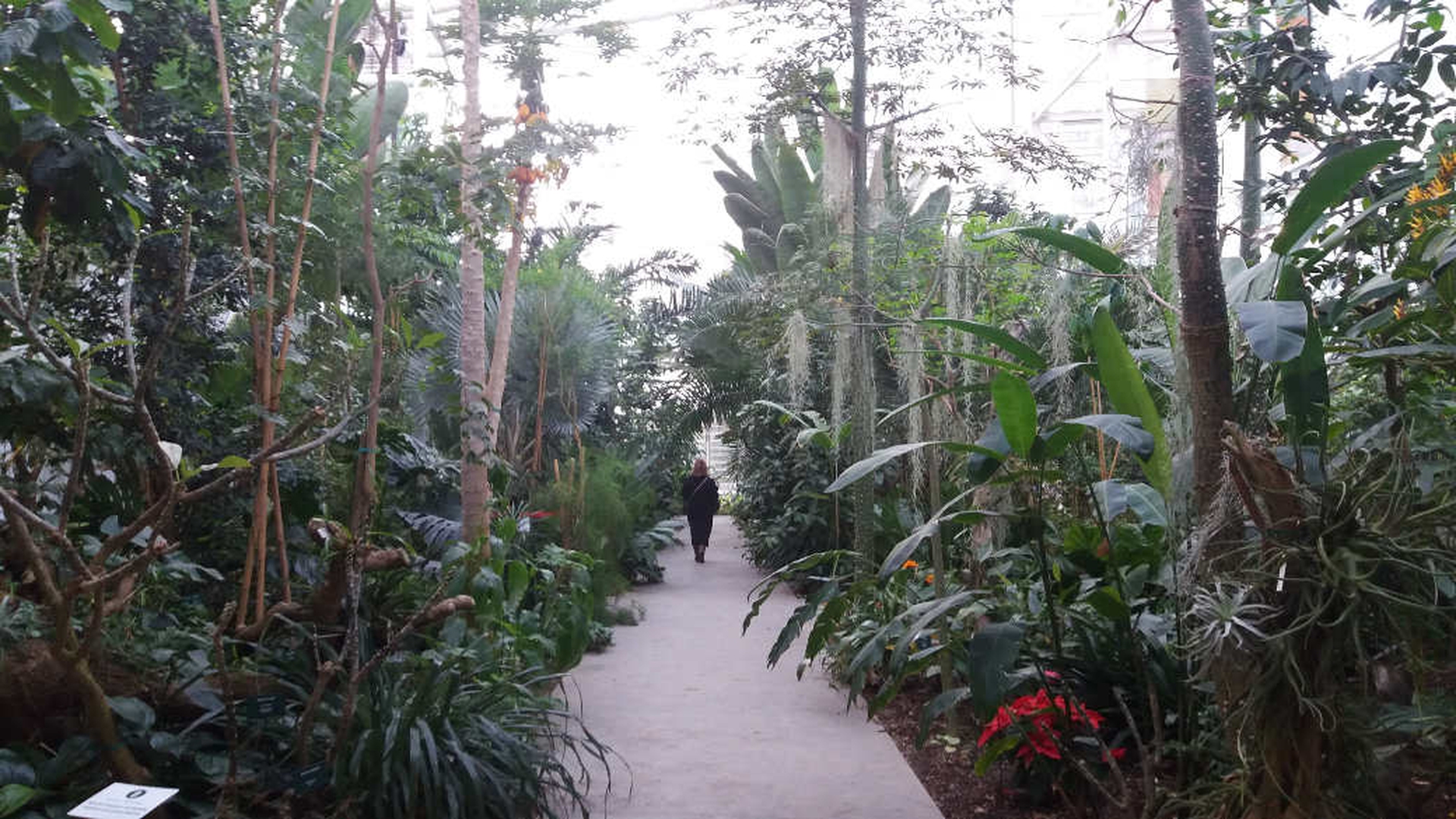 Giardino della biodiversità