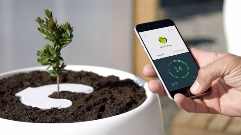 La app di Bios Incube