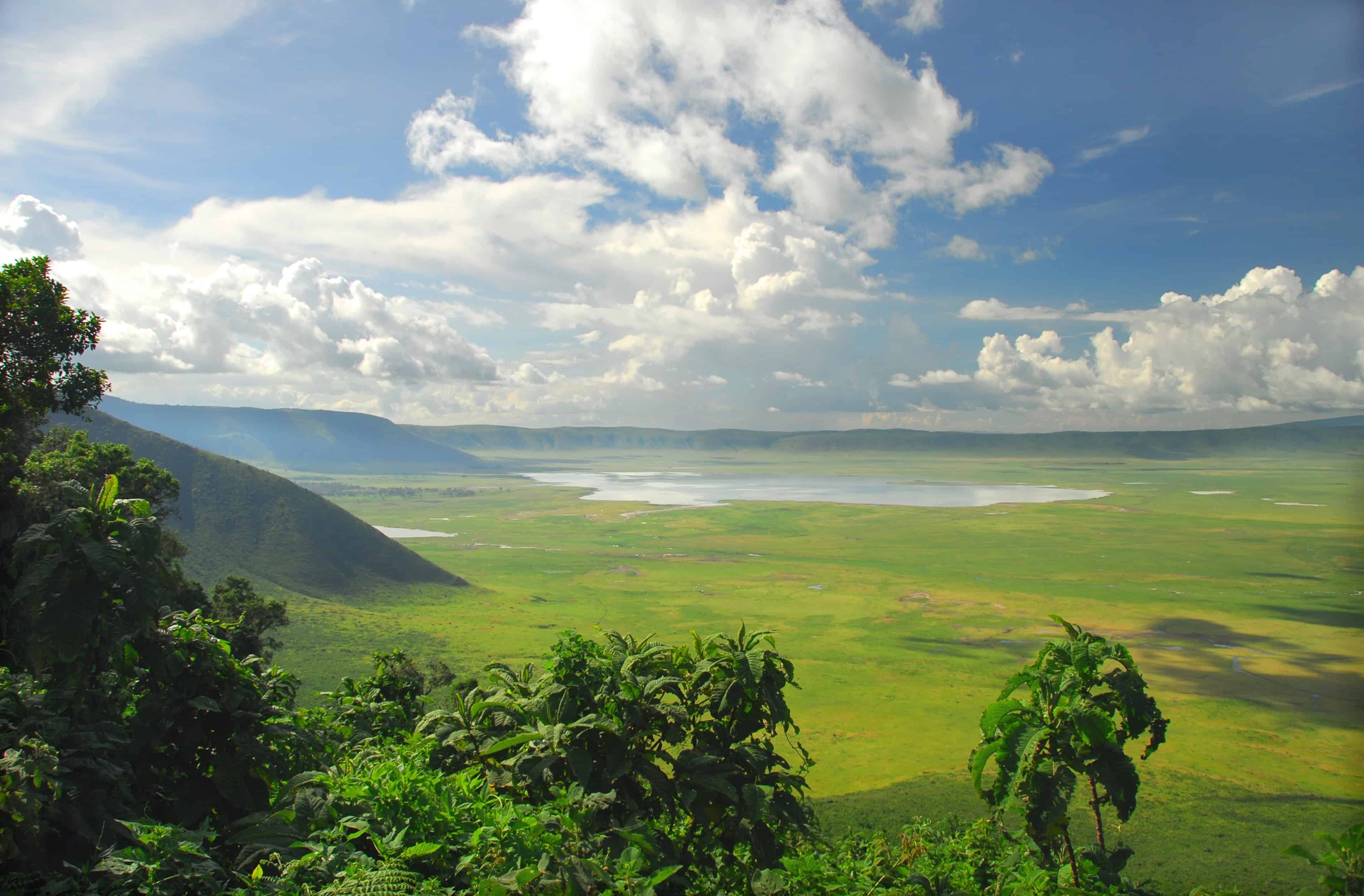 cratere del Ngorongoro tanzania