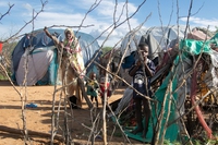 La Somalia va verso la quinta stagione consecutiva di siccità e carenza di cibo