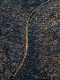 Gli incendi senza precedenti stanno cambiando il Pianeta per sempre. Siamo nell’epoca del Pirocene