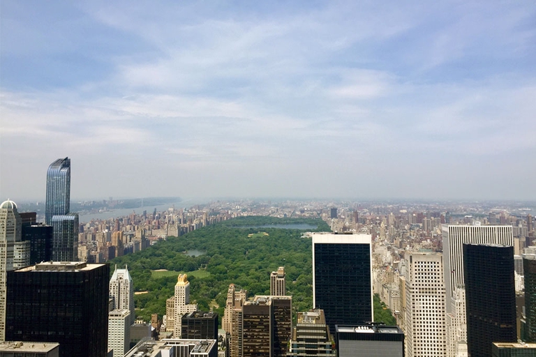 alberi crescono più velocemente a central park
