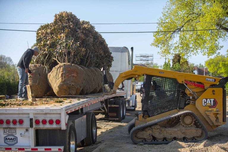 louisville-green-heart-project-2