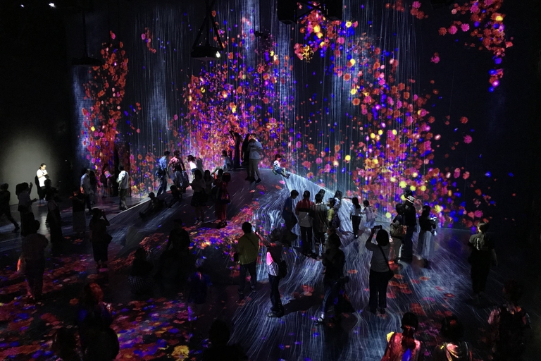 videoarte, TeamLab Borderless a Tokyo