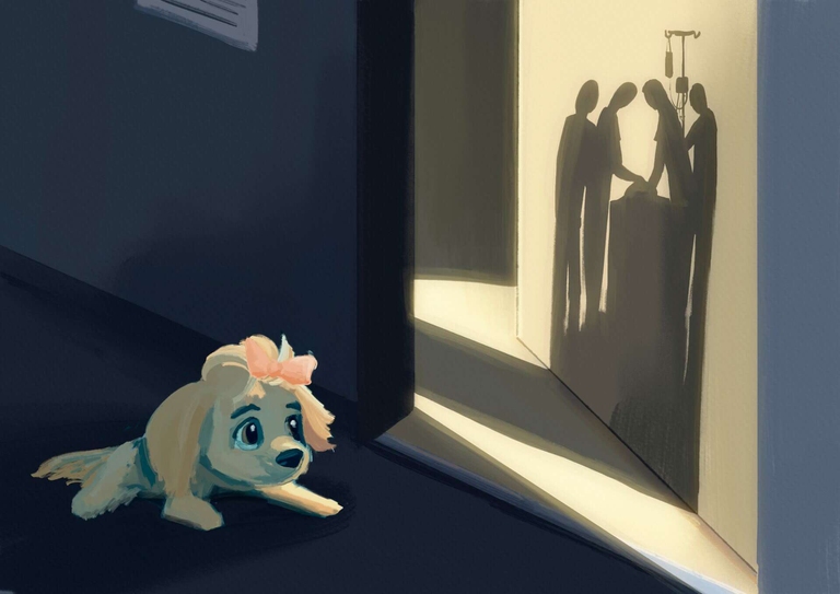 Favola, vidas, giornata del cane