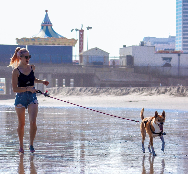 ragazza con cane sulla spiaggia